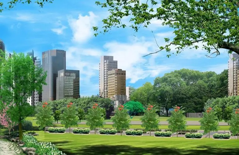 内江绿化树交易市场