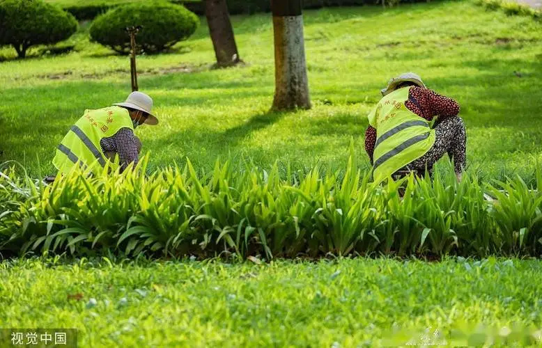 如何有效管理园林景观中的野生动植物？