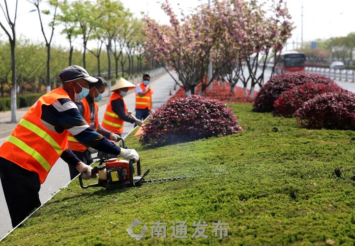 炎陵县鲜花绿化工程