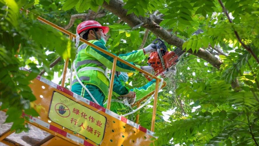 园林管理者面临的用水挑战：如何合理使用和节约水资源？